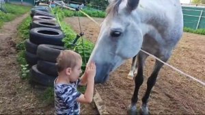 Душевный разговор