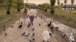 Тысячи птиц прилетели на зимовку в Имеретинскую низменность Сириуса