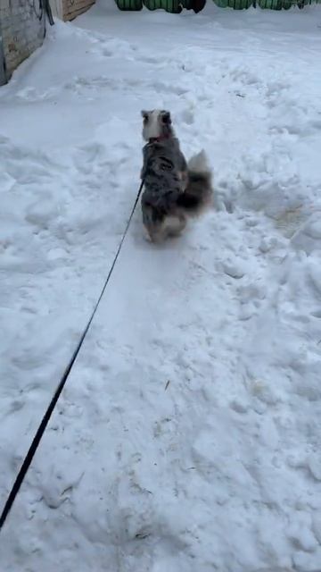 Как круто кататься на горке))) смотреть онлайн