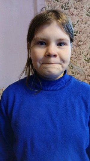 Гусь и странная девочка (фильм)