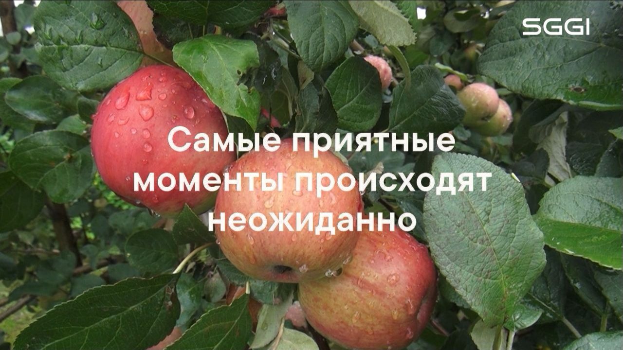 Самые приятные моменты происходят неожиданно смотреть онлайн