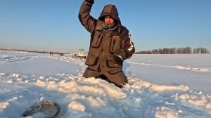 Наловил щук и обеспечил деда рыбой.