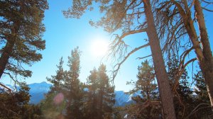 Архыз декабрь | Катание на сноуборде | Открытие сезона | #изикант