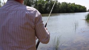 Короткое видео о поездке в Астрахань