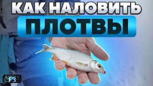 Секреты чемпионов. Как поймать плотву? Рыбалка со льда, спортивные фишки.