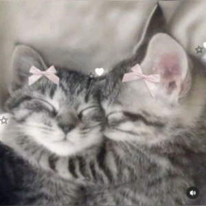 просто разговоры