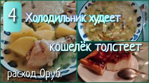 Холодильник худеет, кошелёк толстеет//день 4