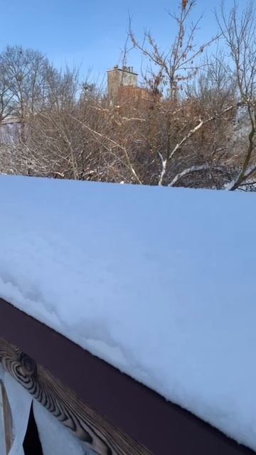 Вот так зима! 40 см снег на крыше теплицы #теплица #виталийморозов смотреть онлайн