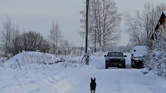 Деревенский вечер, притяжение Совиного Дола и неугомонные зверюшки смотреть онлайн