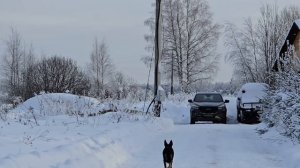 Деревенский вечер, притяжение Совиного Дола и неугомонные зверюшки