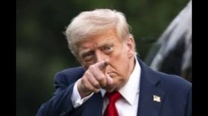 Трамп заявил, что НАТО 20 лет предупреждало Данию о якобы российской угрозе