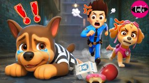 Щенячий патруль и Маршалл. Залипательное видео. Мультфильм для детей и малышей. Анимация 87