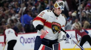 Бобровский подрался с американцем Недельковичем в матче НХЛ