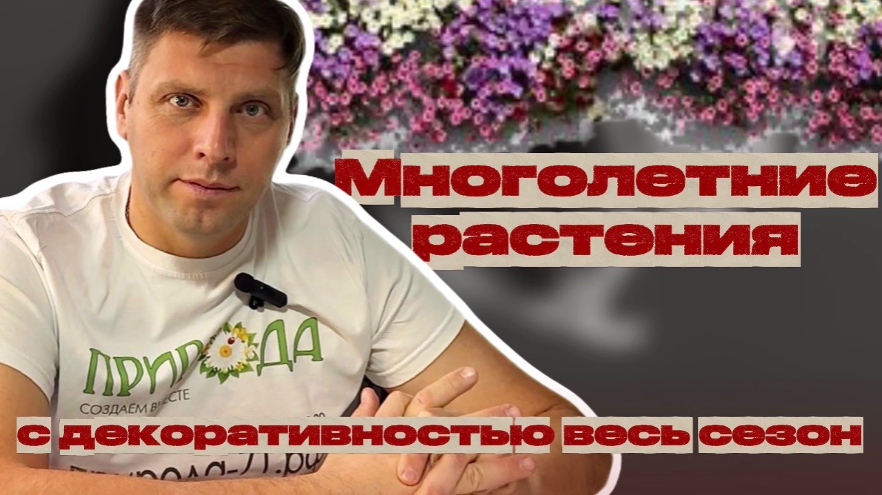 Многолетние растения, которые весь сезон будут радовать своей красотой☘️ смотреть онлайн