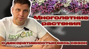 Многолетние растения, которые весь сезон будут радовать своей красотой☘️