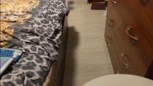 Кино *Тайные агенты* 1