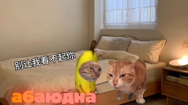 Мемы #мемы #круто #эта #идеально #видео #топ #рейтинг #рутуб #абаюдна смотреть онлайн