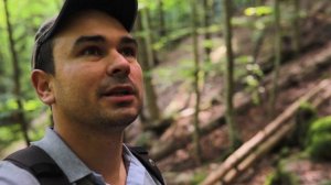 Малая Лаба, Никитино