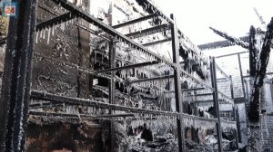 Зооприют "Каштанкин дом" сгорел в Хакасии