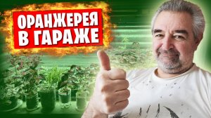 📌 Новости о маминой пенсии и оранжерея в гараже 🌹