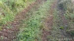 Какая собака нужна мне