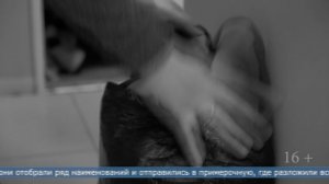 19.01.2026 В краже товаров из спортивного магазина подозревают мужчину и женщину из Южно-Сахалинска