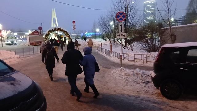 Подход к мосту в Павшинской Пойме