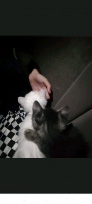 играем с Богданом