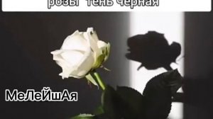 ❤️🩹цыганцкие песни🧸отец❤️🩹2026