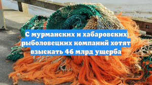С мурманских и хабаровских рыболовецких компаний хотят взыскать 46 млрд ущерба