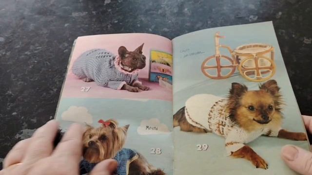 Обзор журнала "Одежда для кошек и собак" №1 от 2011 года смотреть онлайн