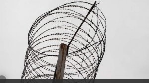 Правозащитник рассказал о состоянии находящейся в тюрьме в Австралии россиянки