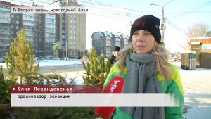 Время местное. Эфир: 20-01-2026 - Вторая жизнь новогодней ёлки