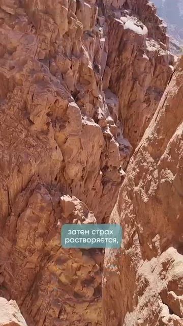 Выход за пределы привычного смотреть онлайн