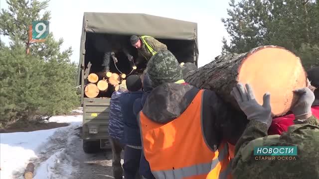 Новости Старого Оскола от 20 января смотреть онлайн