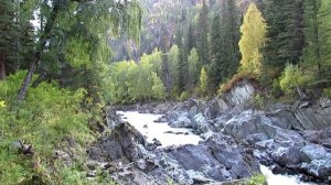 р.КУМИР, дорога, природа.Горный Алтай.