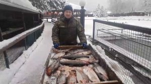 Улов рыбака