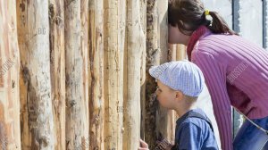 Прямо в щёлочку Пт)