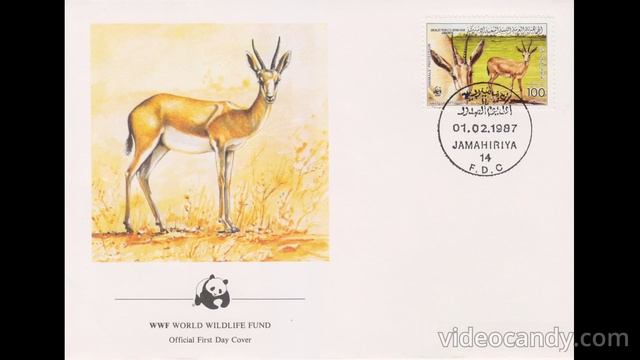 КПД конверты Флора WWF моя коллекция смотреть онлайн