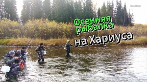 Осенняя рыбалка на хариуса в Бурятии