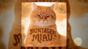 MONTAGEM MIAU