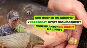 КАРПФИШИНГ: ОТВЕТЫ на ВОПРОСЫ с практическими примерами | Выпуск # 1