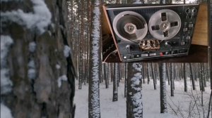 Сосновый бор Песня Авторская