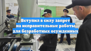 Вступил в силу запрет на исправительные работы для безработных осужденных