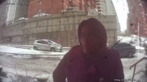 КРАСНОЯРЦЫ ПОЖАЛОВАЛИСЬ НА БУЙНОГО СОСЕДА