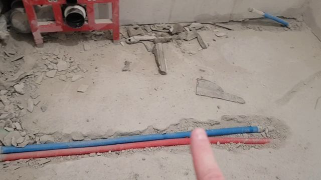 InShot_20260120_145837692.mp4