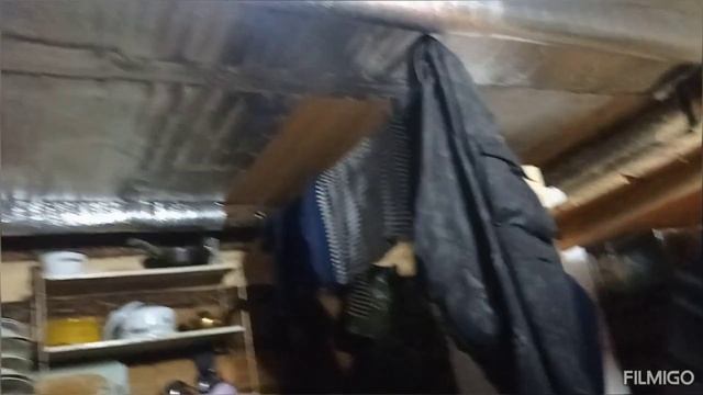 Лесные приключения. Есть результат.