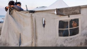 Bloomberg сообщило о вероятном отказе Франции вступать в «Совет мира» по Газе