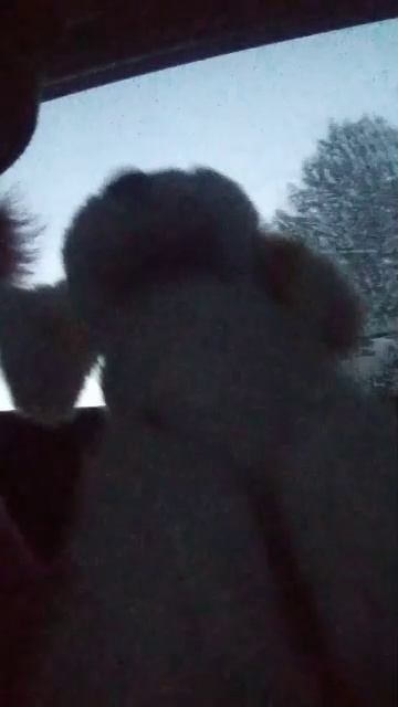 Сабаки смотреть онлайн