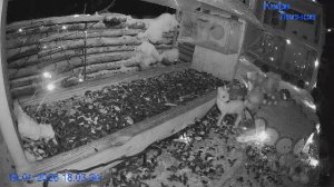 🔴 24 LIVE Главная Кормушка